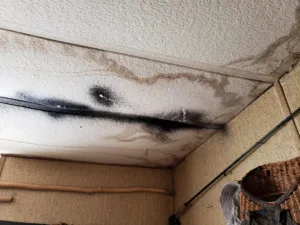 Water leak causing mold and staining on a home's ceiling